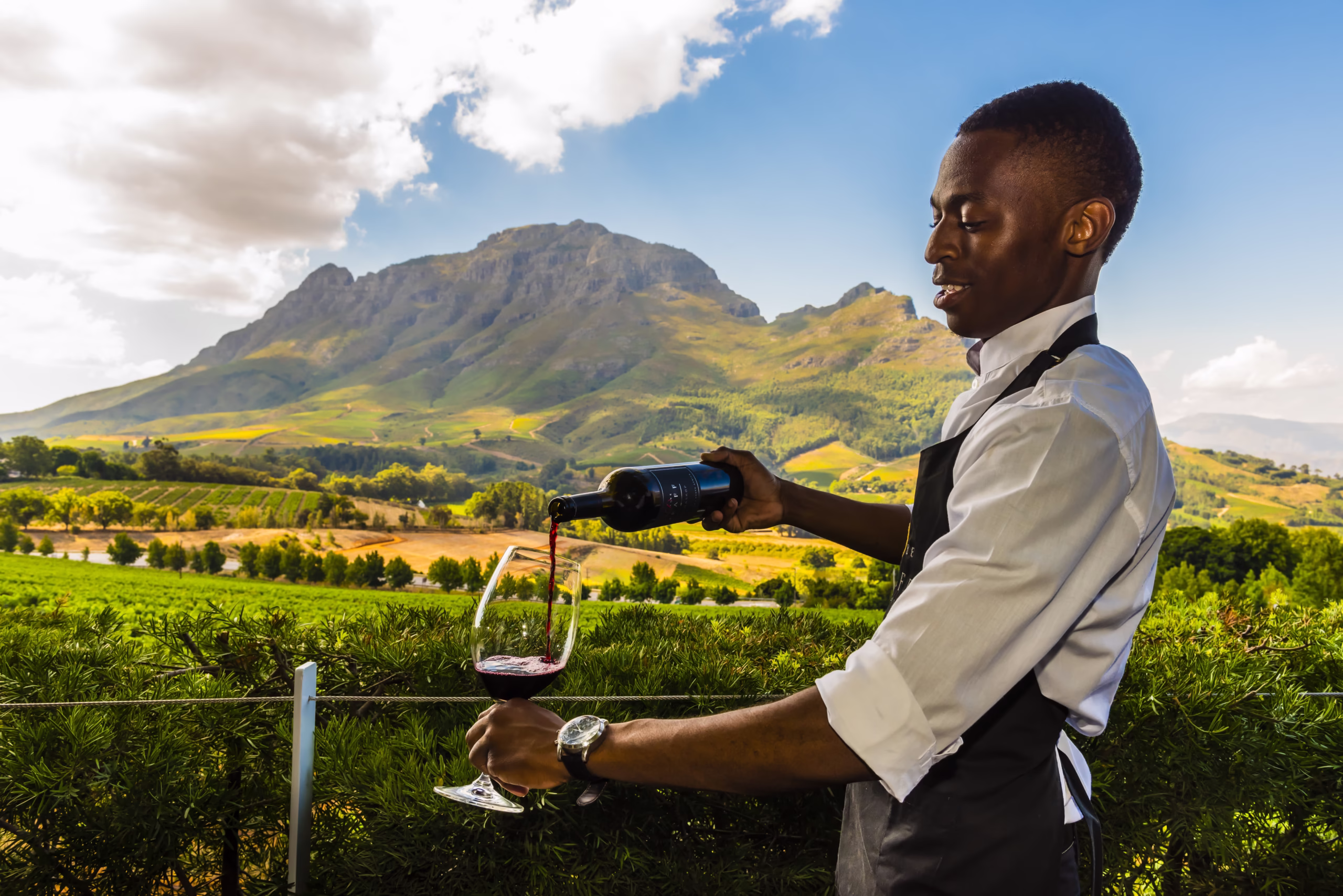 Wine Tours of South Africa