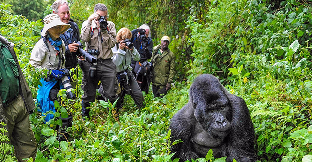 Eco-Adventures in Africa