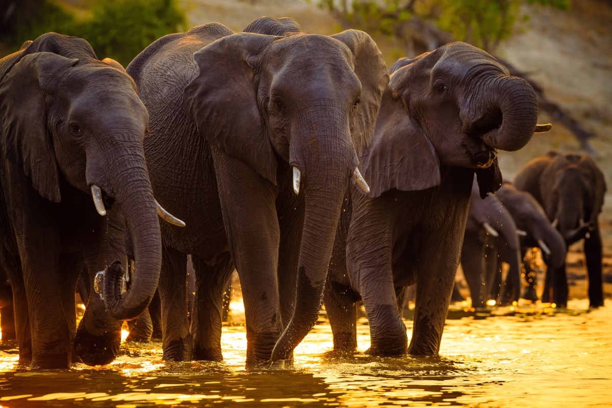 Eco-Friendly Adventure in Rwanda